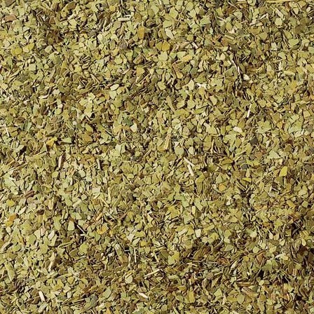 Yerba Mate (Ilex paraguariensis) - Imagen 2