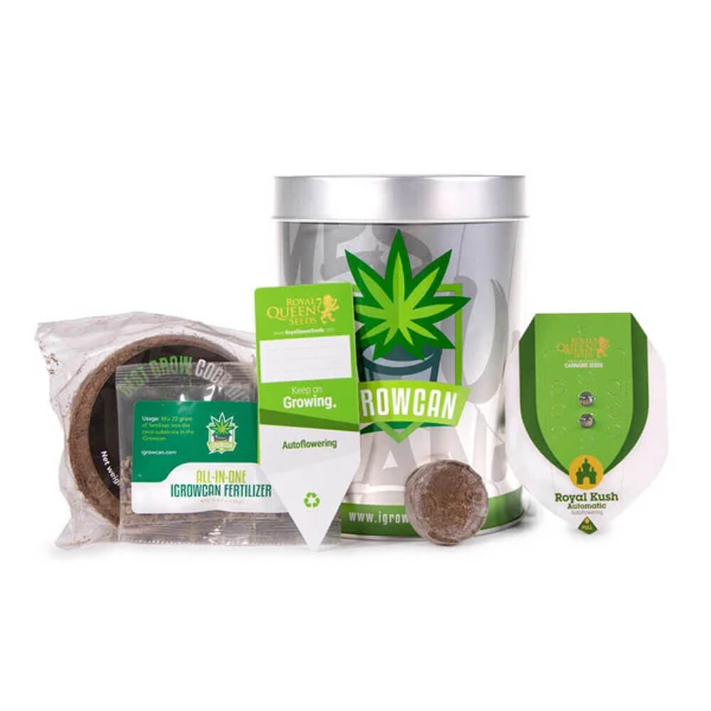 Kit de cultivo Royal Critical IGrowCan de Royal Queen Seeds - Imagen 3
