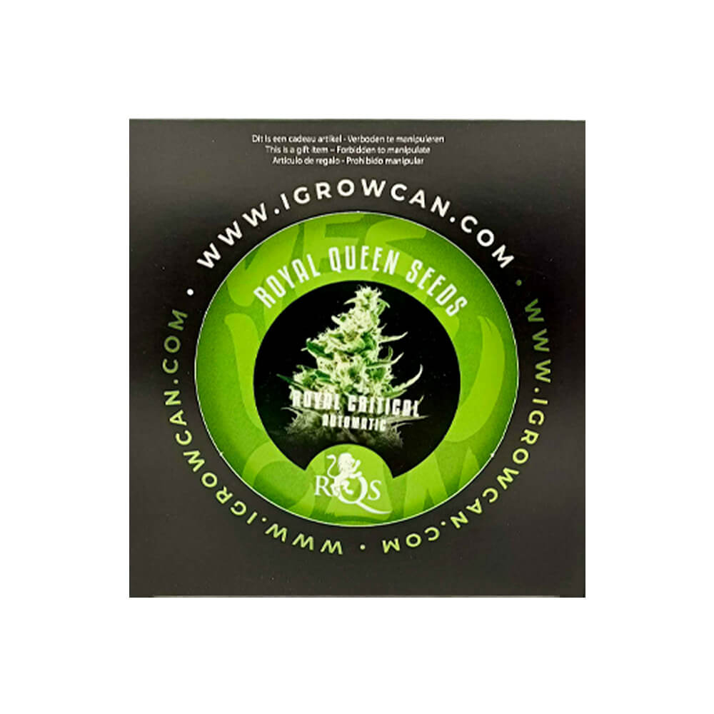 Kit de cultivo Royal Critical IGrowCan de Royal Queen Seeds - Imagen 4